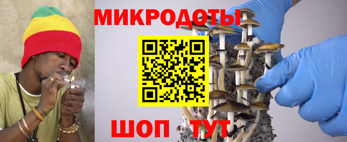 Псилоцибиновые грибы MAGIC MUSHROOMS Обнинск